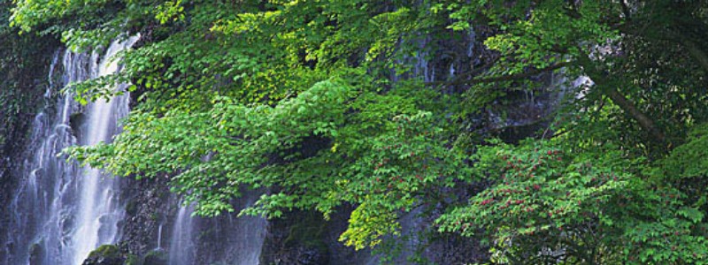 男のシワ改善 【NULL 薬用リンクルクリーム】情報サイト